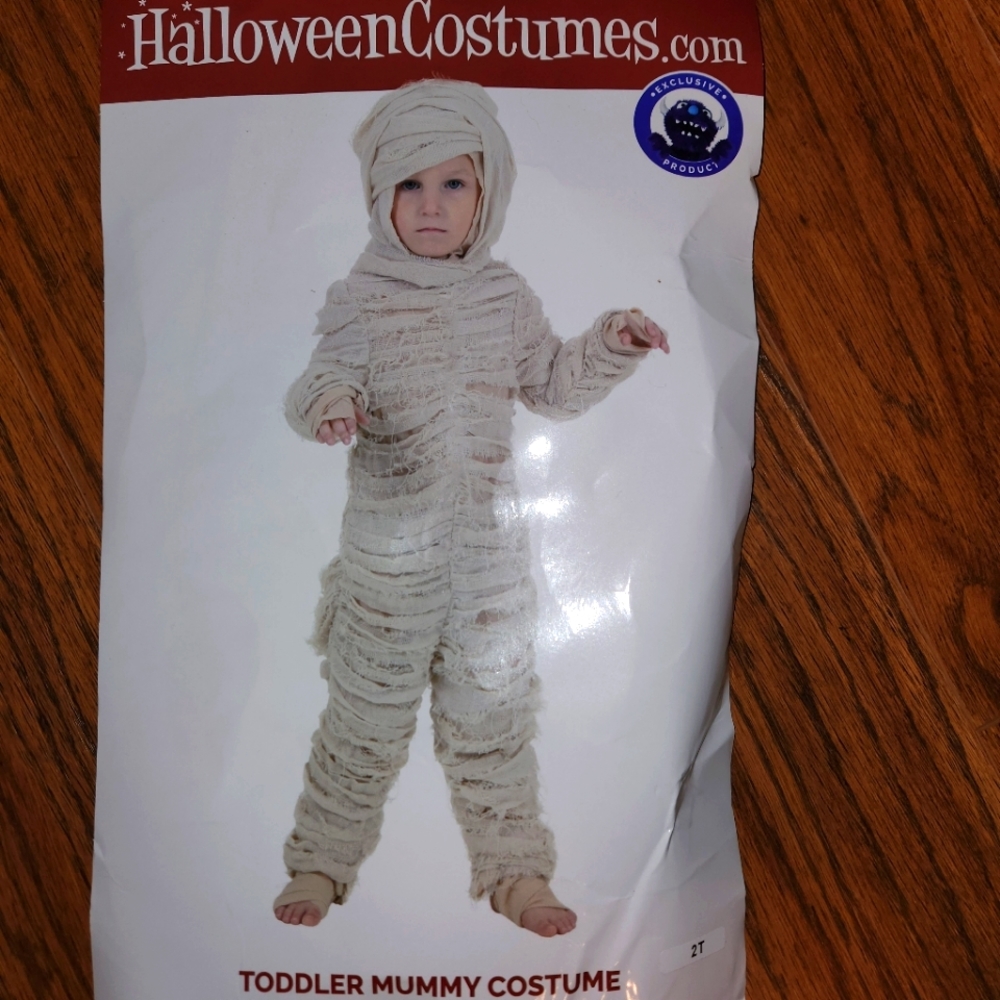 Toddler Mummy Costume 2T